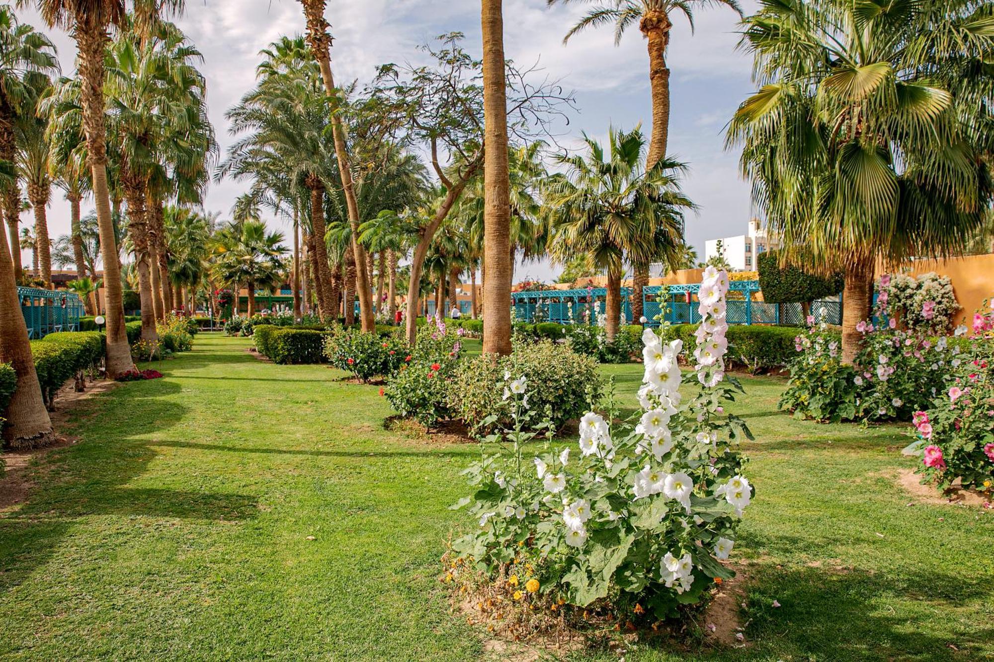 Giftun Azur Resort フルガダ エクステリア 写真